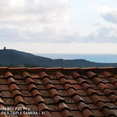 Il Nespolo Villa Castagneto Carducci Exterior foto